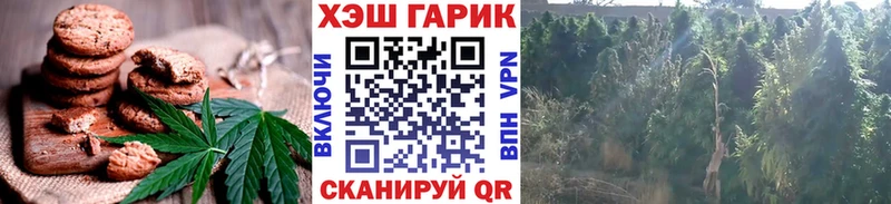 Купить где  Княгинино  Cannafood конопля 