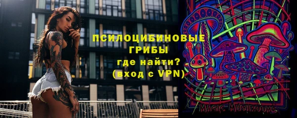 стафф Алексеевка