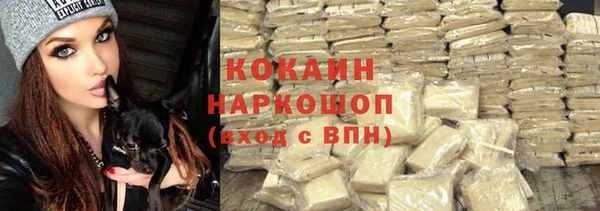 ECSTASY Инсар