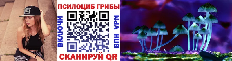 Купить закладки  Княгинино  Галлюциногенные грибы Psilocybe 